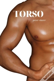 Capa do artigo Torso
