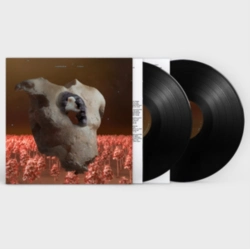 Capa do artigo TORSO - Vinil