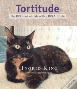 Capa do artigo Tortitude