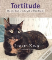 Capa do artigo Tortitude