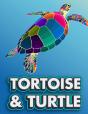 Tortoise & Turtle - Preview