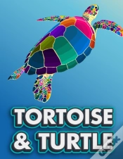 Capa do artigo Tortoise & Turtle