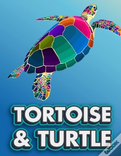 Capa do artigo Tortoise & Turtle