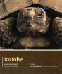 Tortoise - Pet Expert - Preview
