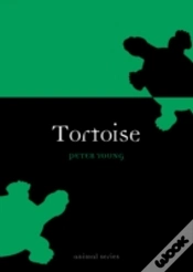 Capa do artigo Tortoise