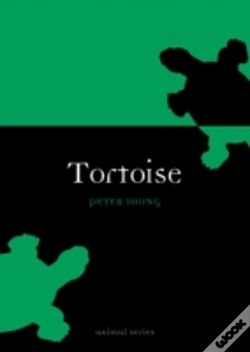 Capa do artigo Tortoise