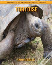 Tortoise