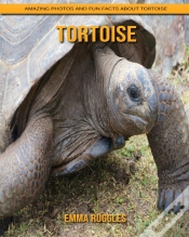 Capa do artigo Tortoise