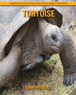 Capa do artigo Tortoise