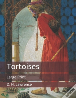 Capa do artigo Tortoises