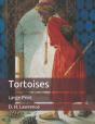 Tortoises - Preview