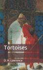 Tortoises - Preview