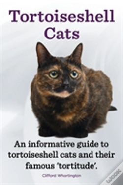Capa do artigo Tortoiseshell Cats. An Informative Guide