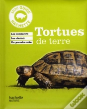 Capa do artigo Tortue De Terre