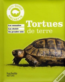Capa do artigo Tortue De Terre