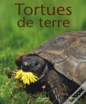 Capa do artigo Tortues De Terre