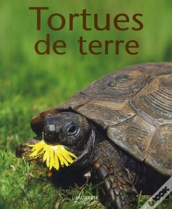 Capa do artigo Tortues De Terre