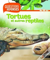 Capa do artigo Tortues Lezards Et Autres Reptiles