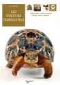Tortues Terrestres - Preview