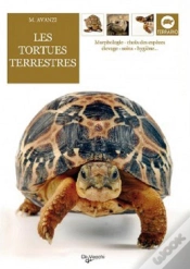 Capa do artigo Tortues Terrestres