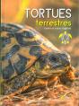 Tortues Terrestres - Preview