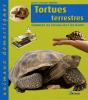 Tortues Terrestres - Preview