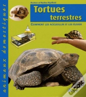 Tortues Terrestres