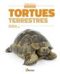 Tortues Terrestres ; Testudo Sp., Geochelone Sp. - Preview