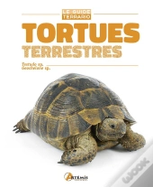 Tortues Terrestres ; Testudo Sp., Geochelone Sp.