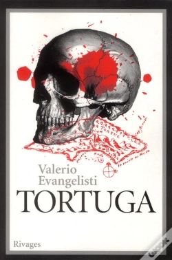 Capa do artigo Tortuga