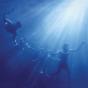 Total Life Forever - CD - Preview