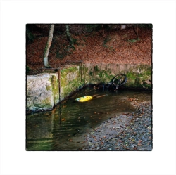 Capa do artigo Totem - Vinil