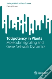 Totipotency In Plants