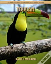 Toucan