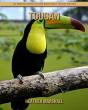 Toucan - Preview