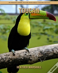 Capa do artigo Toucan