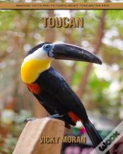 Toucan