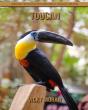 Toucan - Preview