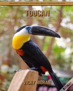 Capa do artigo Toucan