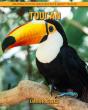 Toucan - Preview