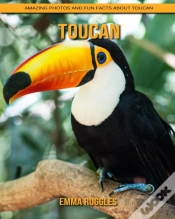 Capa do artigo Toucan