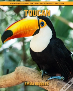 Capa do artigo Toucan