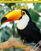 Capa do artigo Toucan