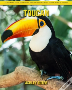 Capa do artigo Toucan
