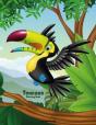 Toucans Coloring Book 1 - Preview
