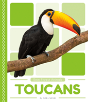 Toucans - Preview