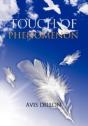Touch Of Phenomenon - Preview