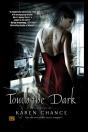 Touch The Dark - Preview
