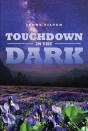 Touchdown In The Dark - Preview