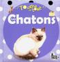 Touche-A-Tout - Les Chatons - Preview
